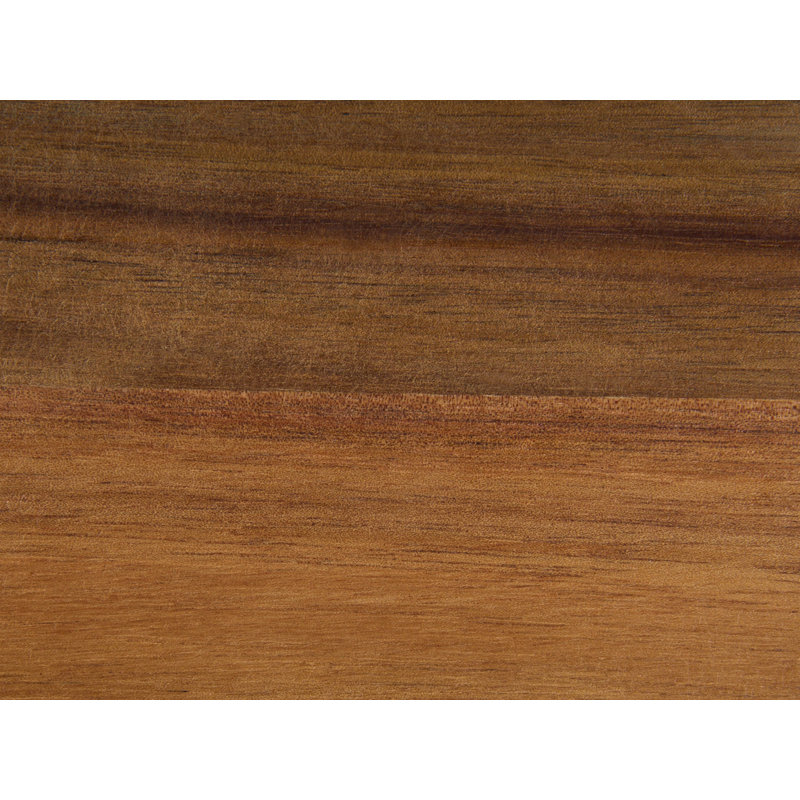 Brayden Studio Serving Dish