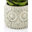 Sprague Ceramic Cachepot