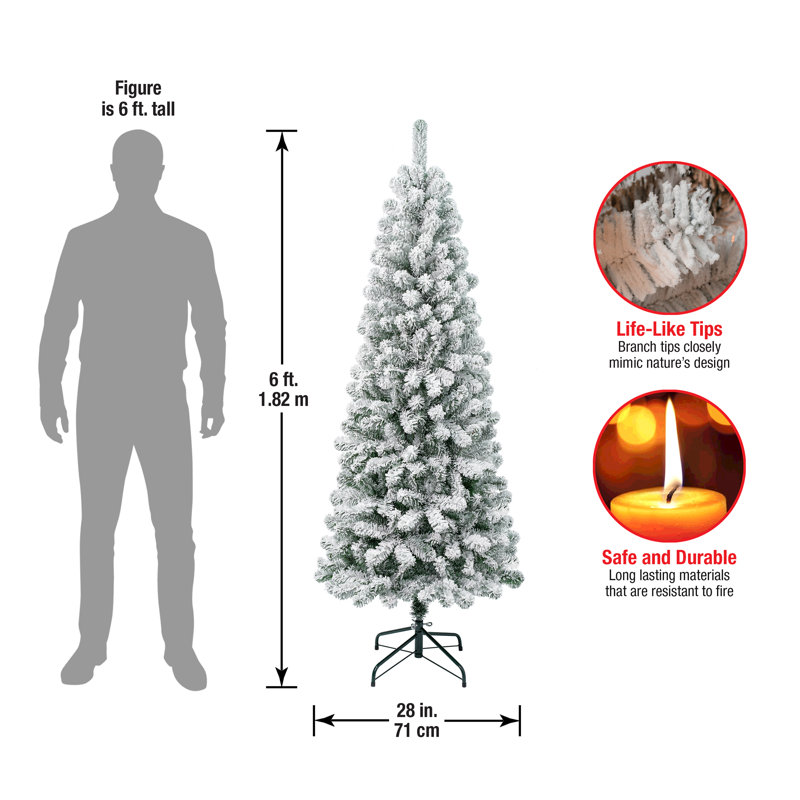 Green Pine Flocked/Frosted Christmas Tree, 5'10" H