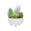 24cm Faux Succulent in Ceramic Pot