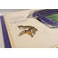 Art mural NFL 5 couches Stadiumview-41858119-87393974