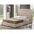 Light Beige is out of stock selected