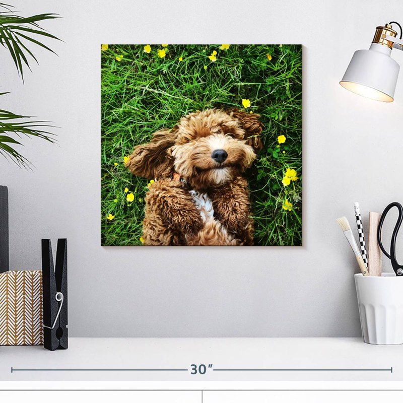 Crowle Happy Cockapoo Dog, H 16 po x l 16 po