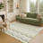 Machine Washable Indoor/Outdoor Chantille ACN2342 Stripes Rug-1633023655