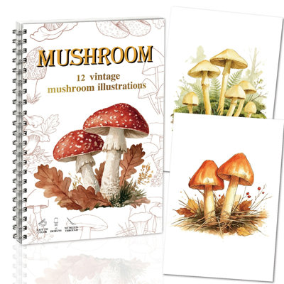 Drawing Book Vintage  Watercolor   No Pigment Included Watercolor Coloring Book Thick Bleed  Watercolor Practice Paper Book For Beginners  Kids And