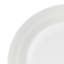 4 Piece Dinner Plate Set
