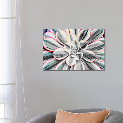 Fluorescent Succulent by Susan Vizvary - Wrapped Canvas Print