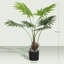 Faux Palm Tree in Pot-541601572