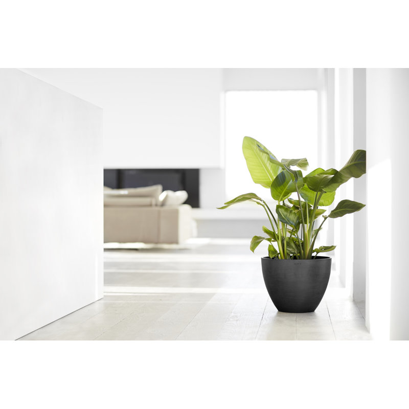 Ecopots Antwerp Indoor/Outdoor Modern Recycled Plastic Flower Pot Planter, Dark Gray, 10" H x 12" W x 12" D