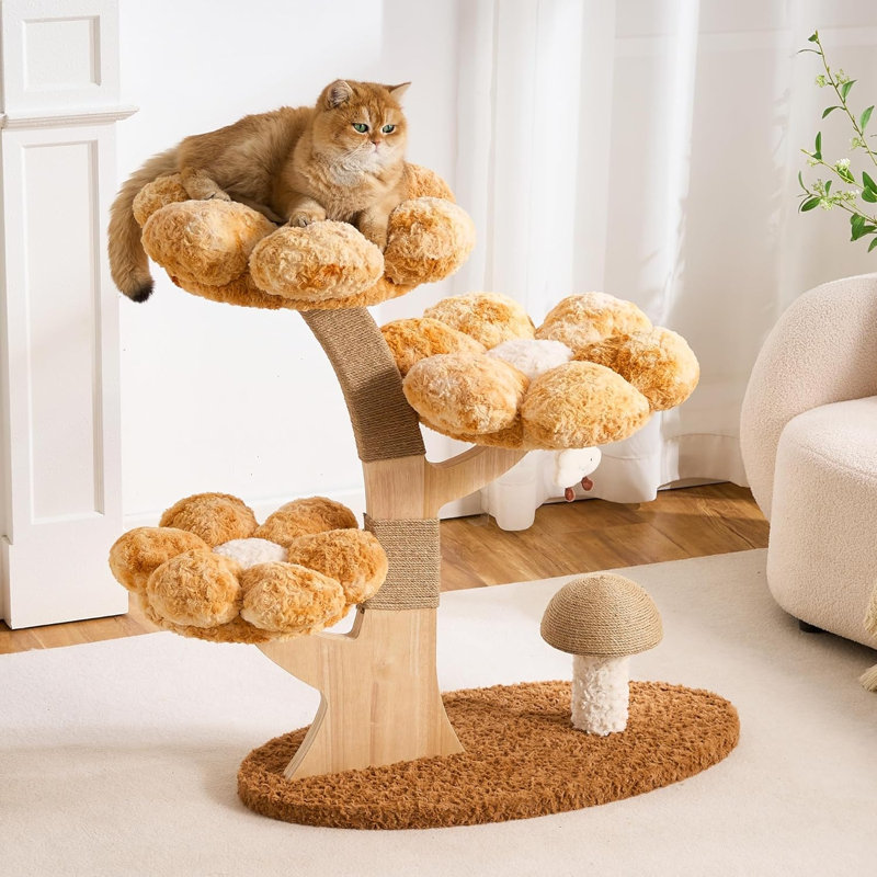 Arbre à chat Modern Modern