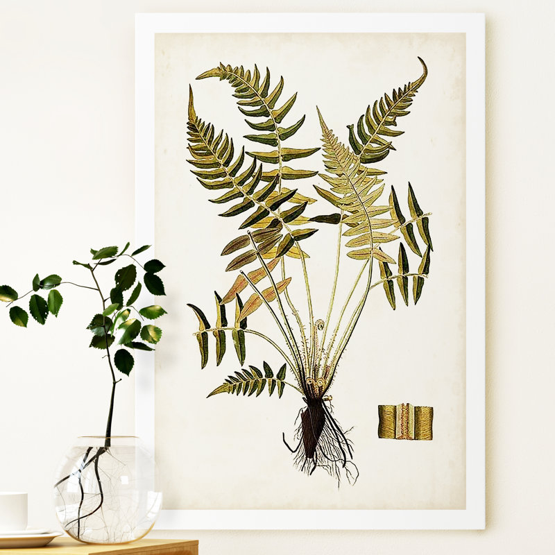 « palm botanique iv »-impression sur toile, H 40 po x l 30 po x P 1 po, Toile tendue