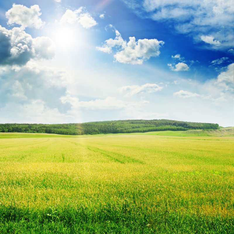 Sunset On Spring Field by AlinaMD - Wrapped Canvas Print, 30cm H x 30cm W