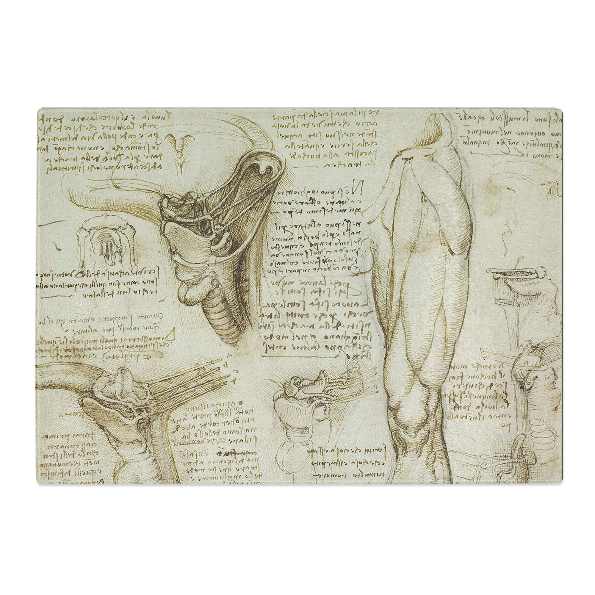East Urban Home Human Anatomy Vol.7 by Leonardo Da Vinci Chopping Board ...