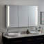 53" Seren Lighted Medicine Cabinet with Tunable LED and Wireless Speaker-75245368