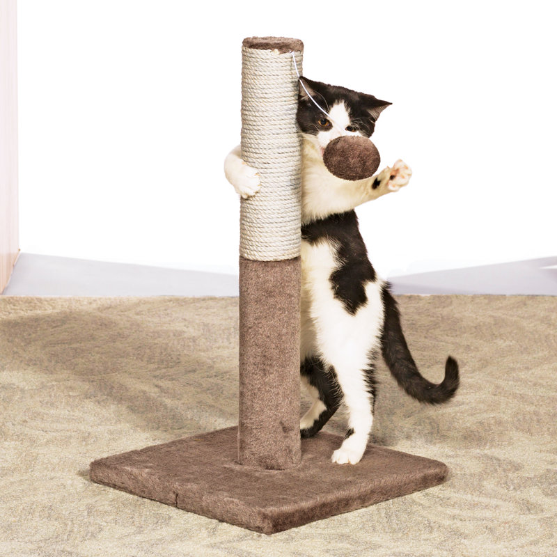 Play and Scratch Interactive Toy Scratching Post