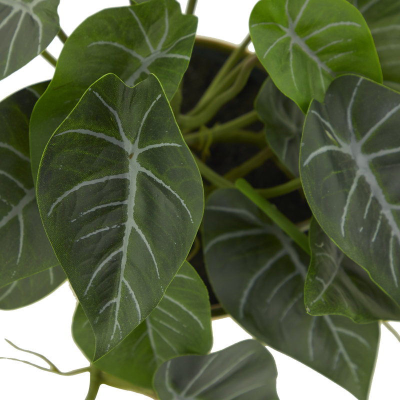 Feuillage artificiel floral et botanique Cole and Gray