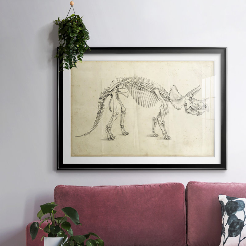 Dinosaur Study II, reproduction d'art encadrée, Noir, H 30 po x l 44 po x P 1,5 po