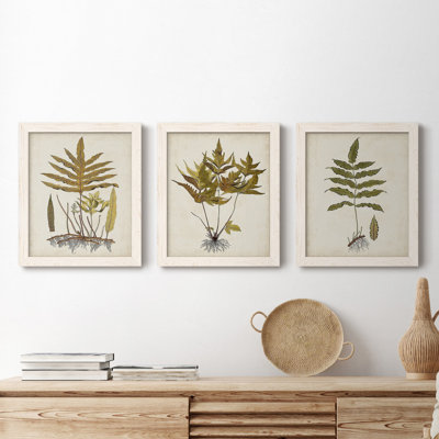 Fern Botanical I - Ensemble de 3 peintures sur toiles encadrées