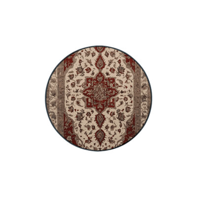 Silky Soft Plush Brown Area Rug