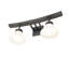 2 - Light Vanity Light
