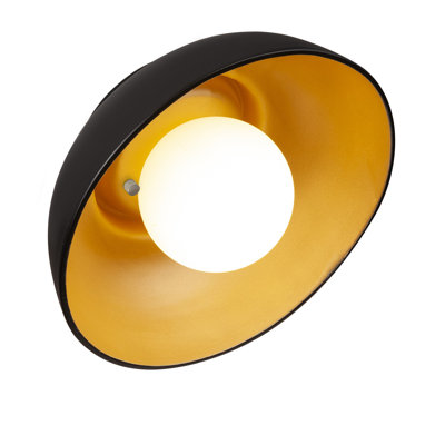 Rana Single Light Ceramic Dimmable Flush Mounted Sconce