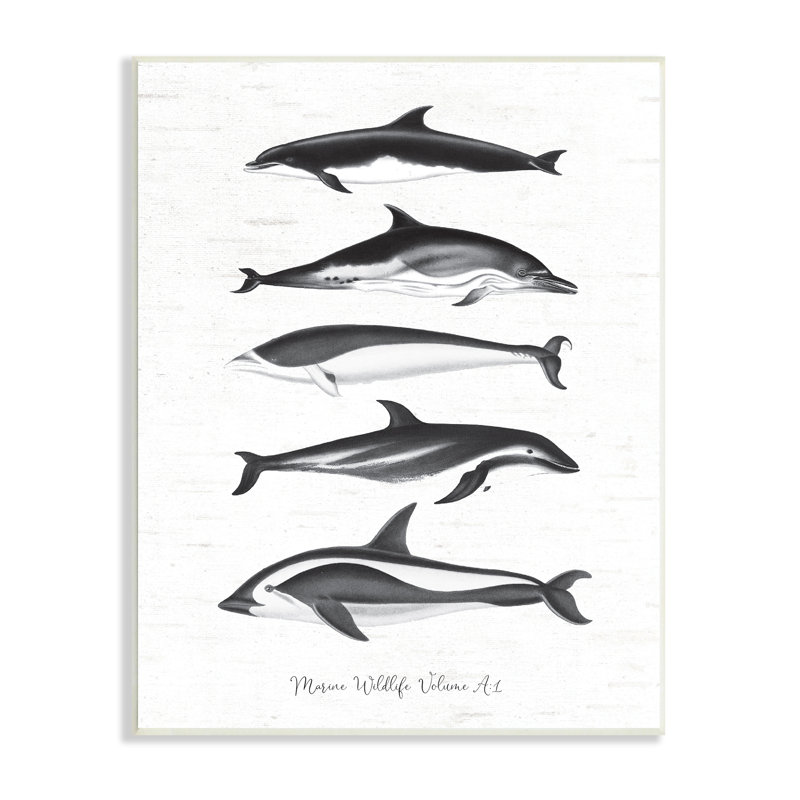 Art de la vie marine, orques et baleines, H 15 po x l 10 po x P 0,5 po
