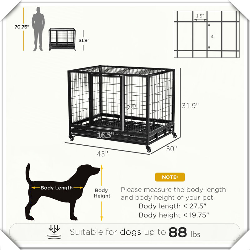 Cage à cage en métal robuste pour chenil
