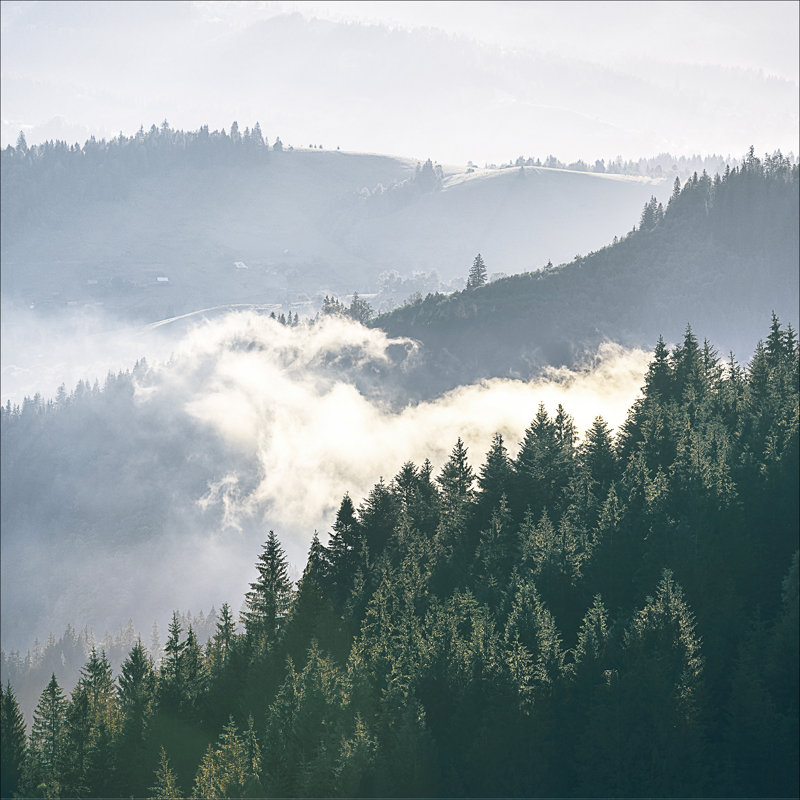 Gloomy Landscape II - No Frame Print on Float Glass, 80cm H x 80cm W x 1.5cm D