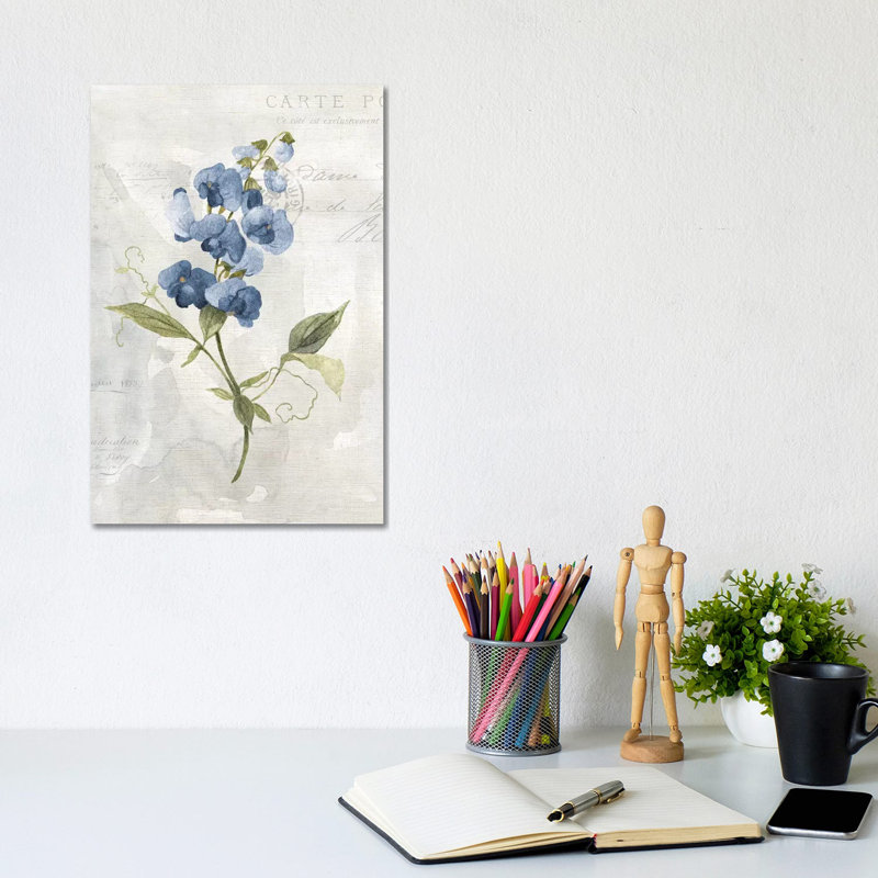 Blue Linen Sweet Pea by Carol Robinson - Wrapped Canvas Gallery-Wrapped Canvas Giclée, 20.32 cm H x 30.48 cm W