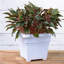 Pot à fleurs en plastique Janya-20002110