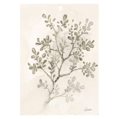 " Organic Leaves Branch "