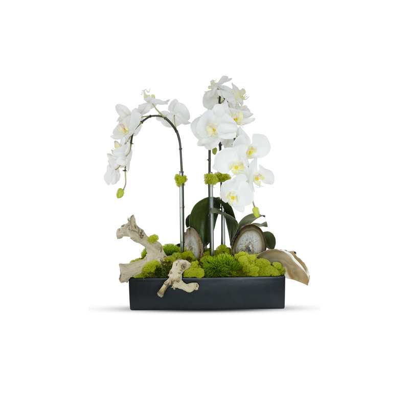 Agate Slabs Orchids In Planter, White