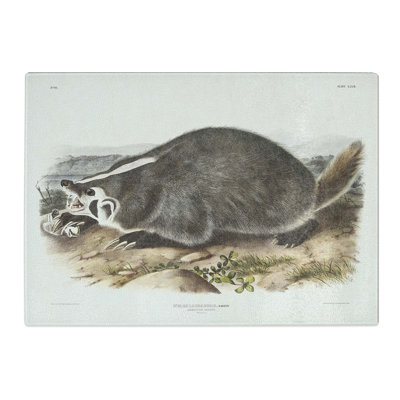 Tempered Glass American Badger by J.W. Audubon Chopping Board
