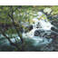 Napperon Peaceful Fall