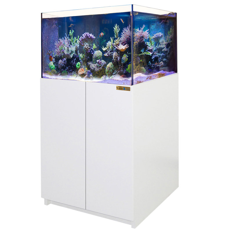 Coral Reef Aquarium, ensemble complet d'aquarium 100 gallons