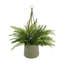 Outdoor UV-Rated Fern in Hanging Pot