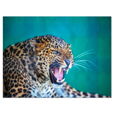 «Wild Leopard Close up View», impression
