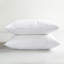 Ensemble de 2 oreillers en duvet et plumes de canard blanc-663767497