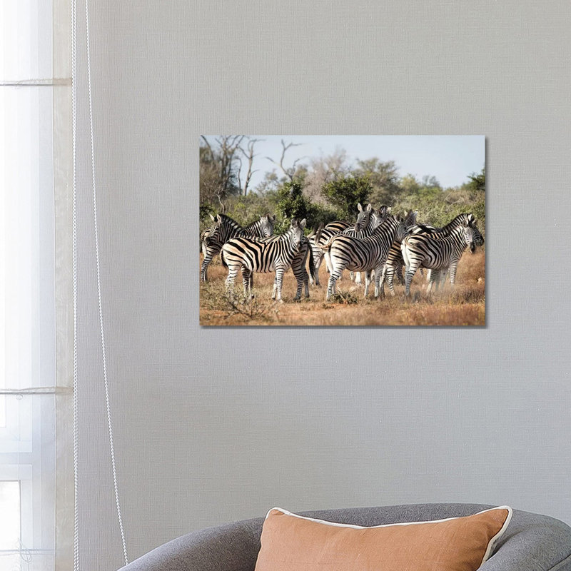 Zebra Dazzle by MScottPhotography - Wrapped Canvas Print, 66.04 cm H x 45.72 cm W x 1.91 cm D