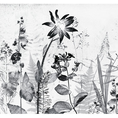  2.8m x 3m Matte Wall Mural