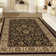 Oriental Indoor Rug
