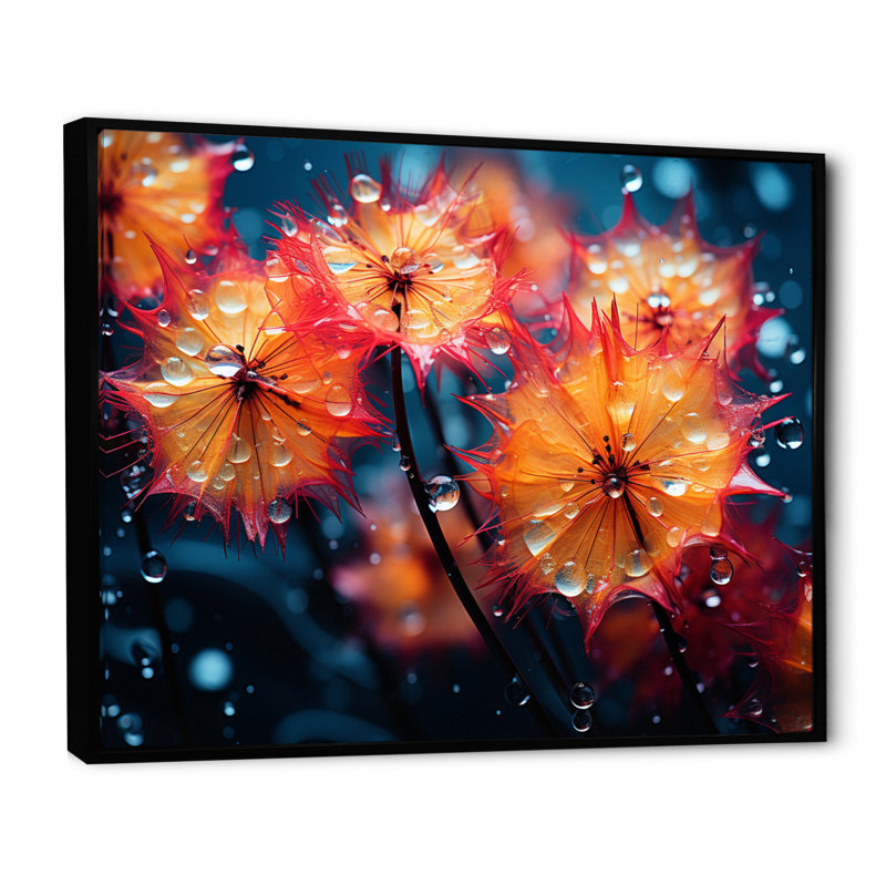 Coral Dandelion Dancing In The Morning - Floral Wall Decor, H 12 po x l 20 po x P 1 po, Cadre flottant noir