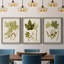 Feuilles antiques IV - ensemble de 3 peintures sur toile encadrées-1306045712-1306045715