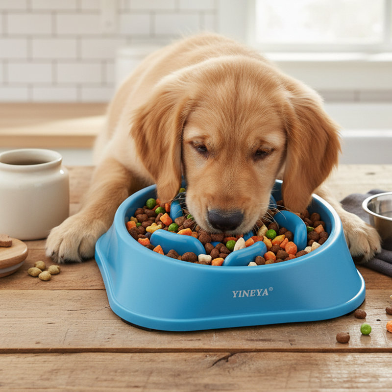 Bol pour chien à alimentation lente, Bleu