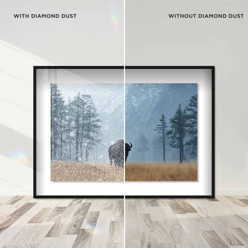 Mountain Bison II Print by Oliver Gal, 11.5" H x 16.5" W, Black Shadowbox