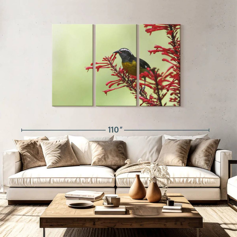 Ronce nourrissant un oiseau bananier, H 48 po x l 74 po