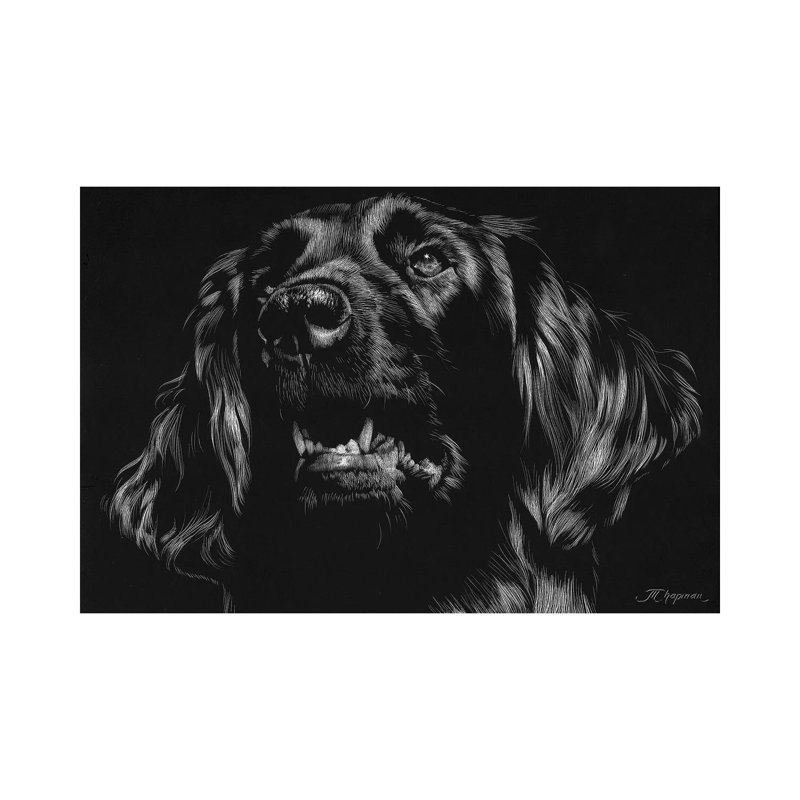 Canine Scratchboard XV by Julie T. Chapman - Wrapped Canvas Print, 66.04 cm H x 45.72 cm W x 1.91 cm D