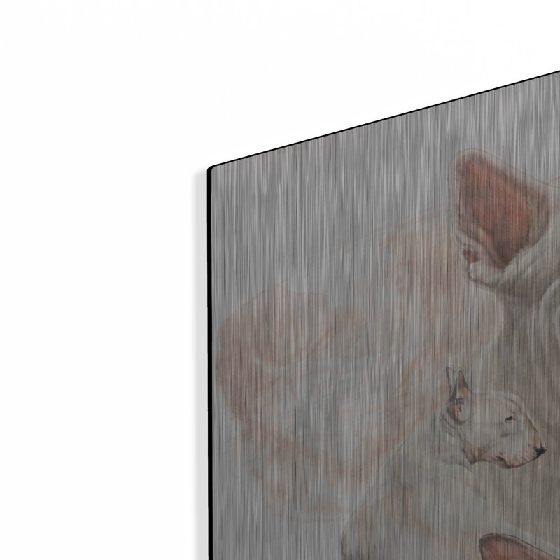 "Bull terrier avec image fantôme" par Barbara Keith, H 24 po x l 36 po
