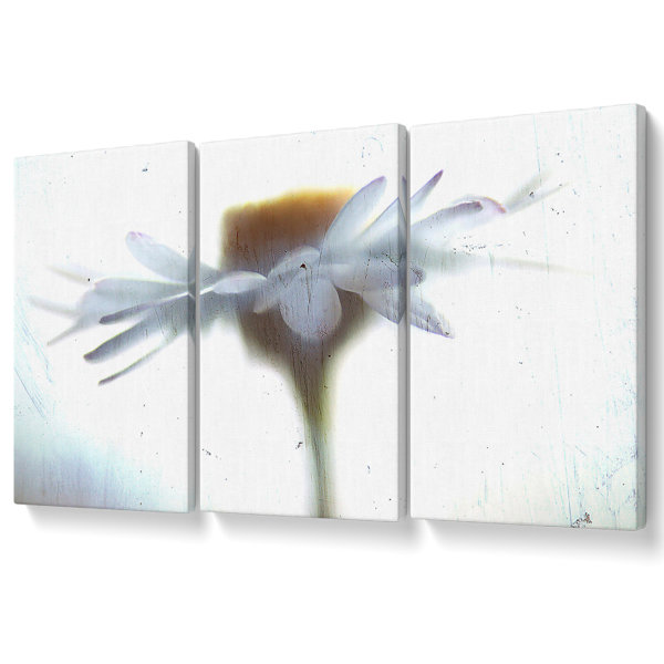 Ebern Designs Vintage Daisy - 3 Piece Wrapped Canvas Print | Wayfair.co.uk