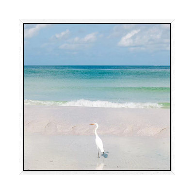 Florida Ocean View VIII by Bethany Young - Print on Canvas